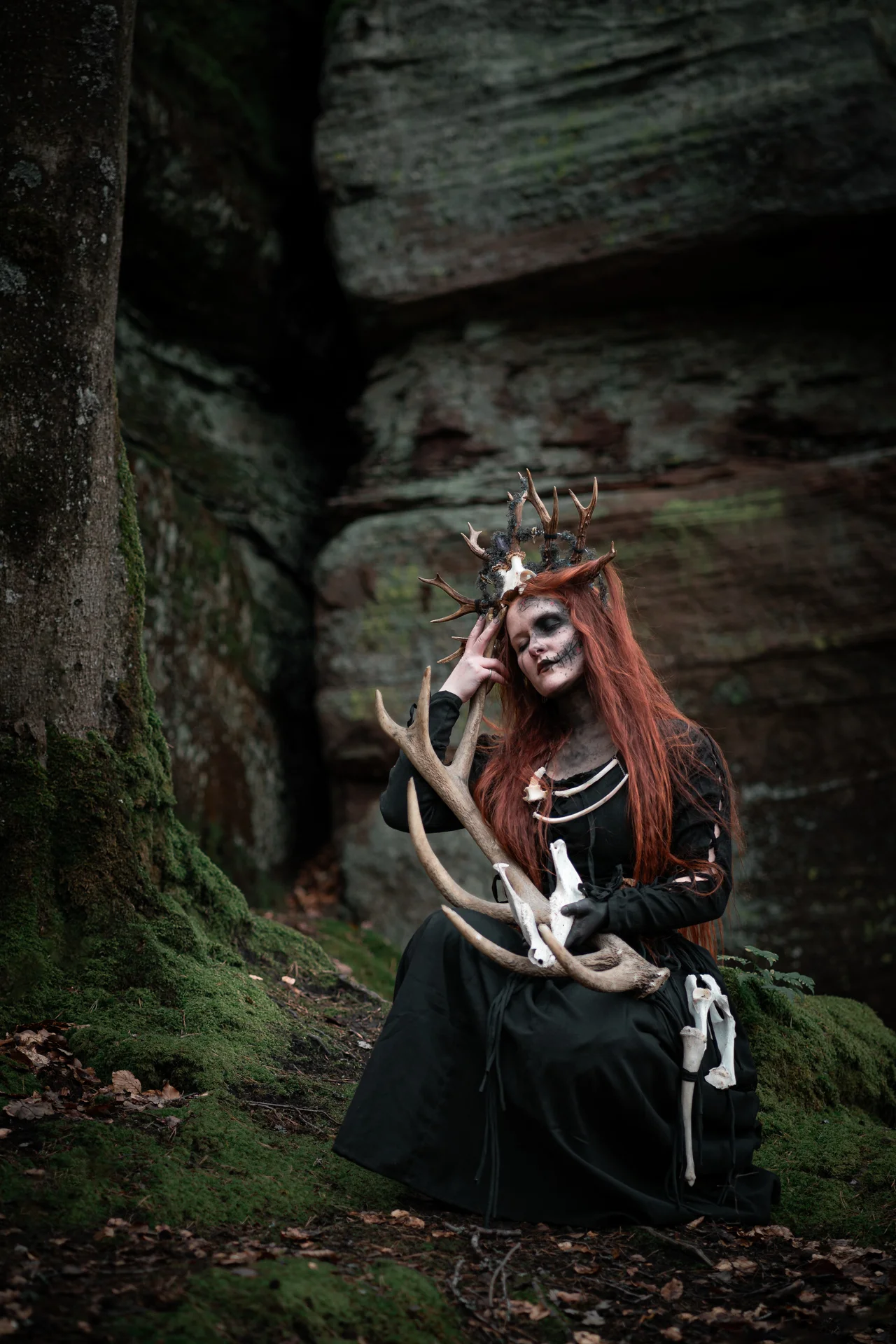 antler portrait in forest