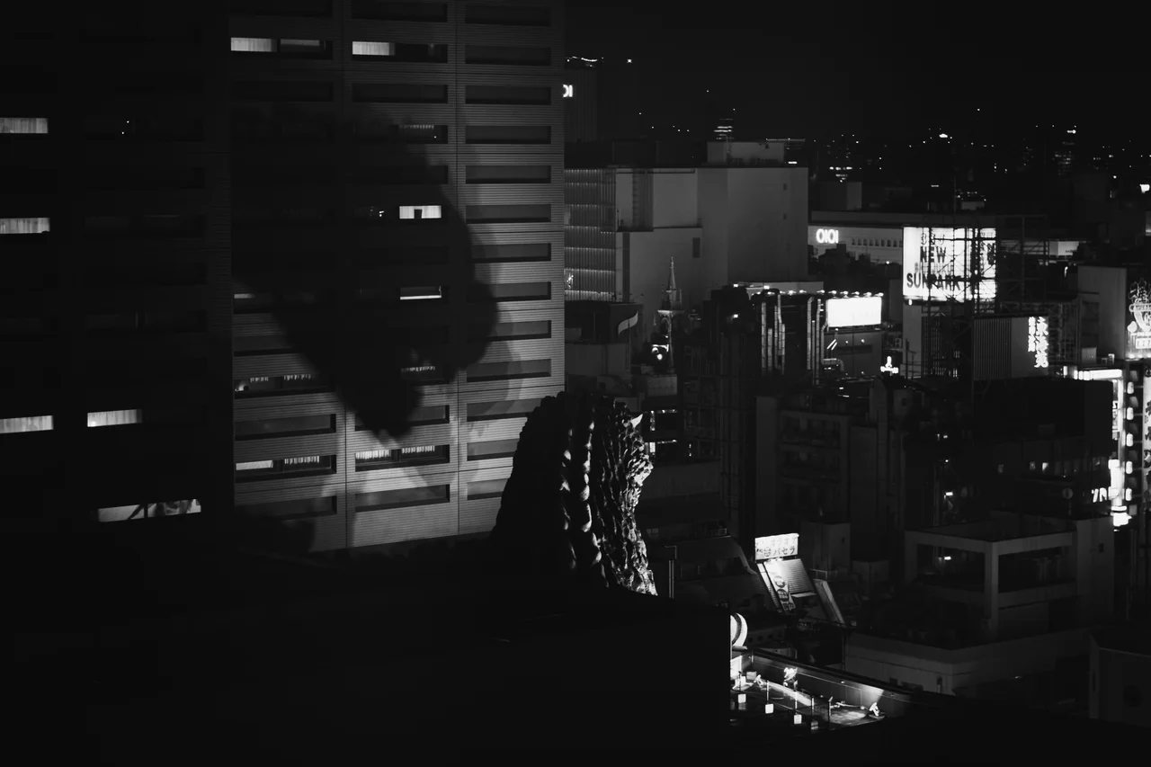 silhouette above city at night